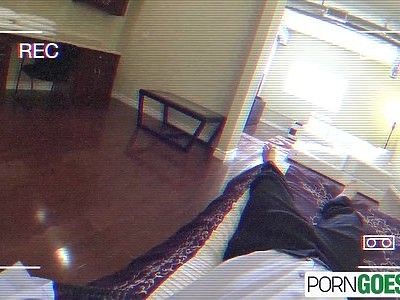 młoda seksowna kocica