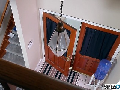 młode egzotyczne ciałko