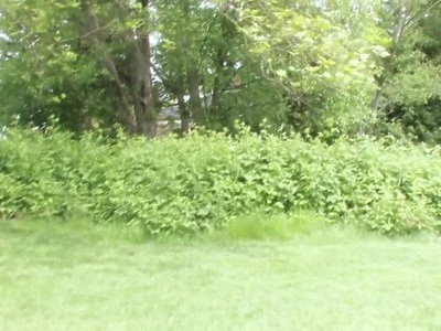 orientalna nastolatka z gumową seks zabawką