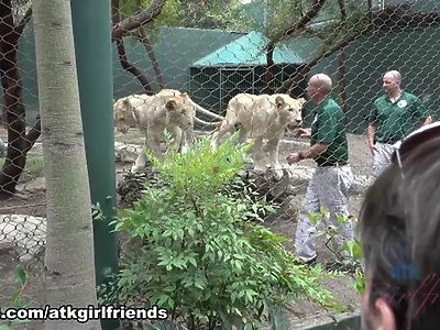 długonoga babeczki z tatuśkiem na wyrku