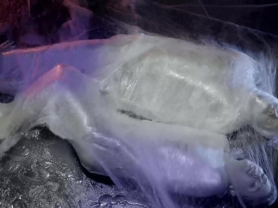 nastolatka od tenisa