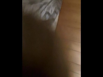 puszyste nastolatki zawsze jebią się mocniej