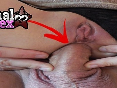 znajomi i siostra dylan phoenix