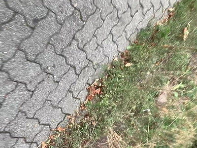 hd emo nastolatki skin diamond lucky fortune