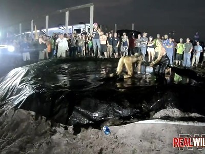 młoda suczka delikatnie ssie wielką pałę